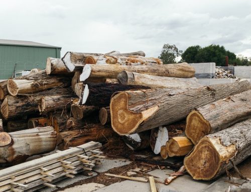 Arch Resources to Reveal Q3 2024 Financial Results in Upcoming Investor Call